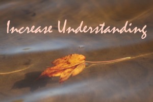 Iunderstanding3