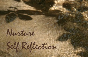 nurture revised2_4077