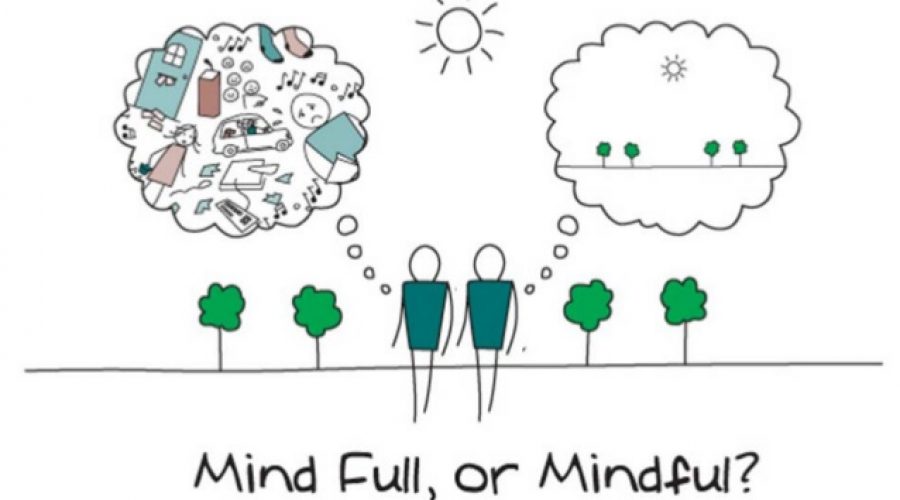 “Are you going alone or are you taking your sanity with you?” Or the importance of mindfulness!